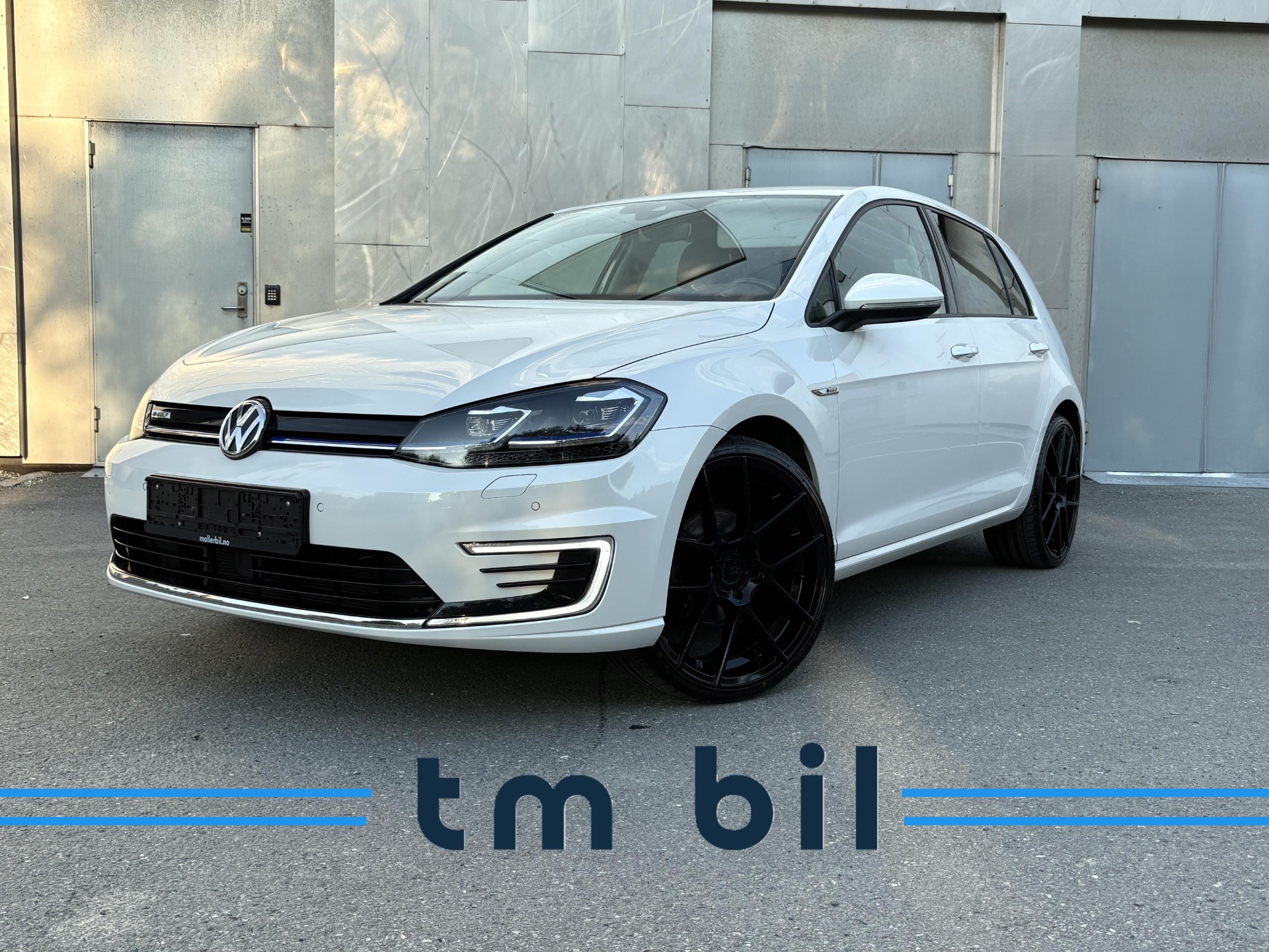VW E-Golf Exclusive Skinn Dynaudio R.cam Ambiente Adapt. LED-lys